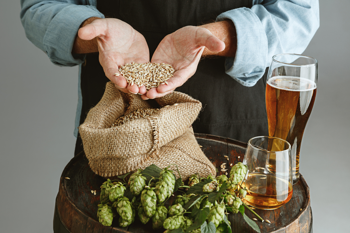 Existeix la cervesa sense llúpol?