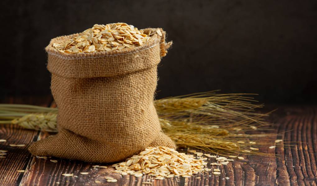 Bagàs: què és i què té a veure amb la cervesa?
